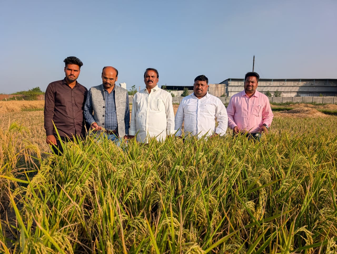 HiCross Seeds field and research - Image 8