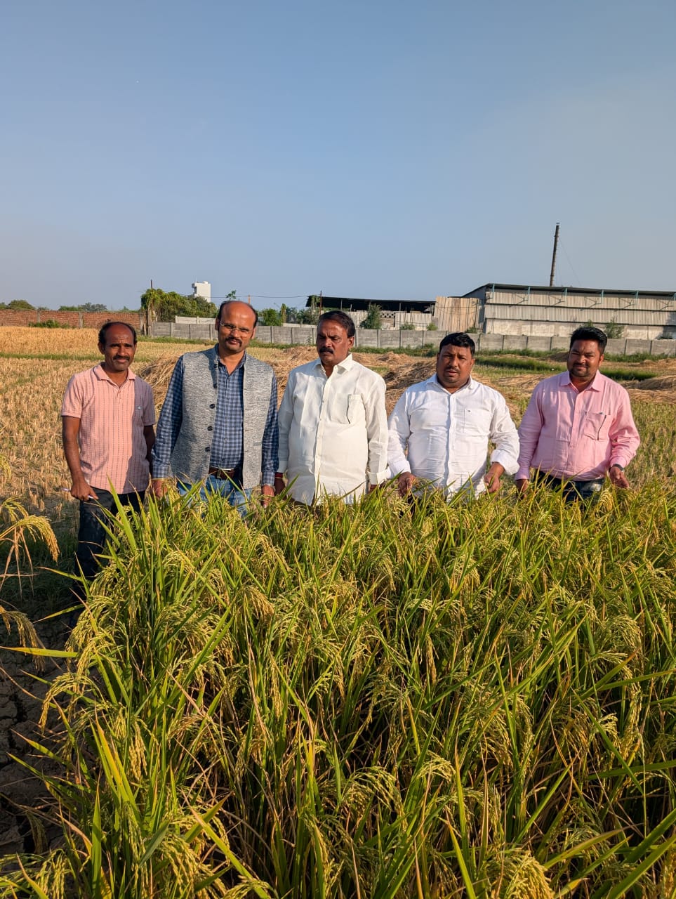 HiCross Seeds field and research - Image 9